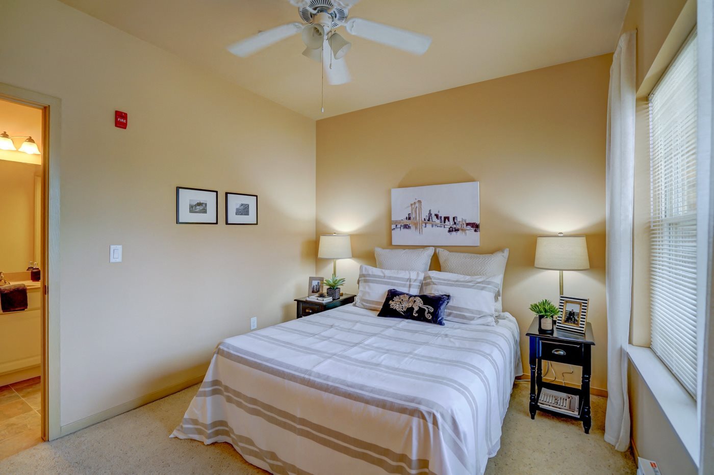 Gallery Photo 29
